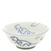 MIYA Company Bowl Jurassic Dinos Ramen New