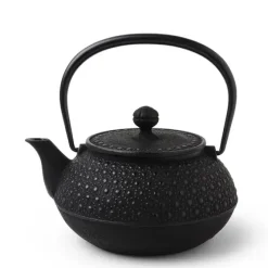 MIYA Company Cast Iron Teapot Black Honeycomb 0.9L Hot
