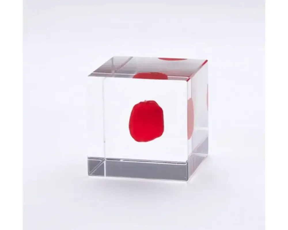 MIYA Company Sola Cube Huayruro Seed Clearance