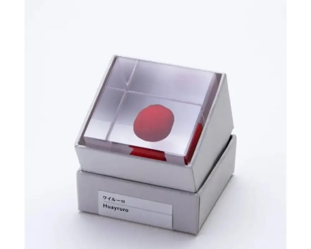 MIYA Company Sola Cube Huayruro Seed Clearance